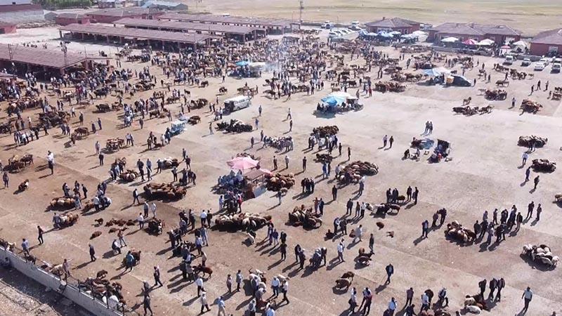 Ağrı Hayvan Borsası 30 gün süreyle kapatıldı – dha.com.tr