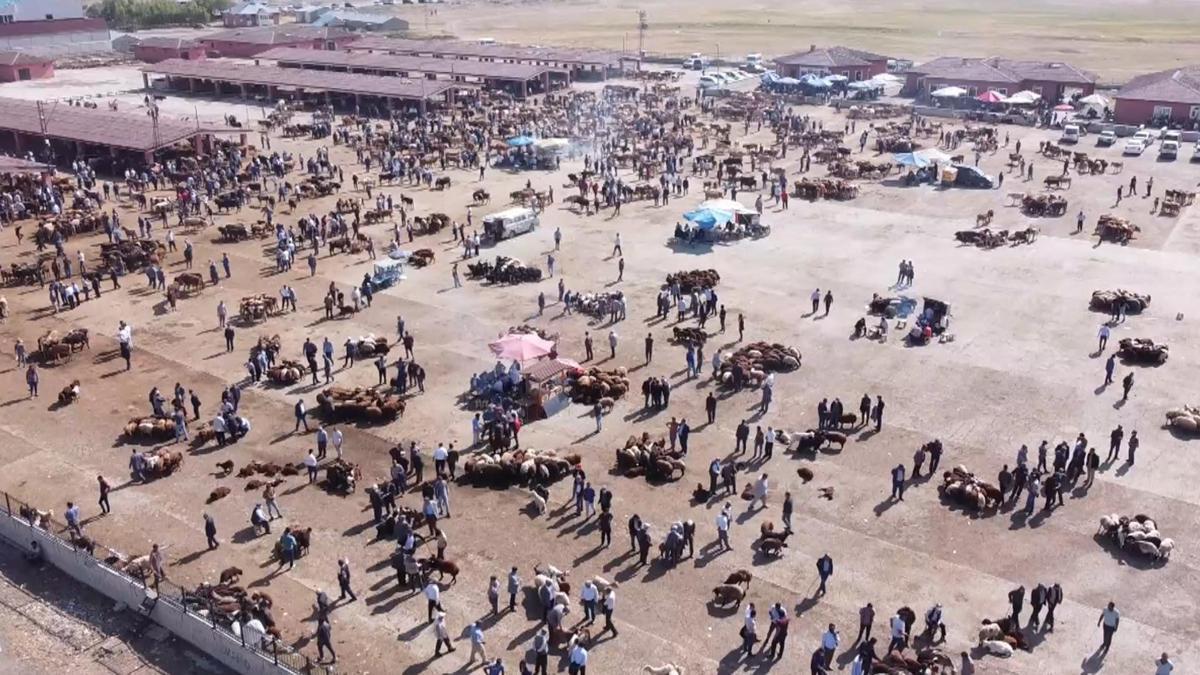 Ağrı Hayvan Borsası 30 gün süreyle kapatıldı – CNN Türk