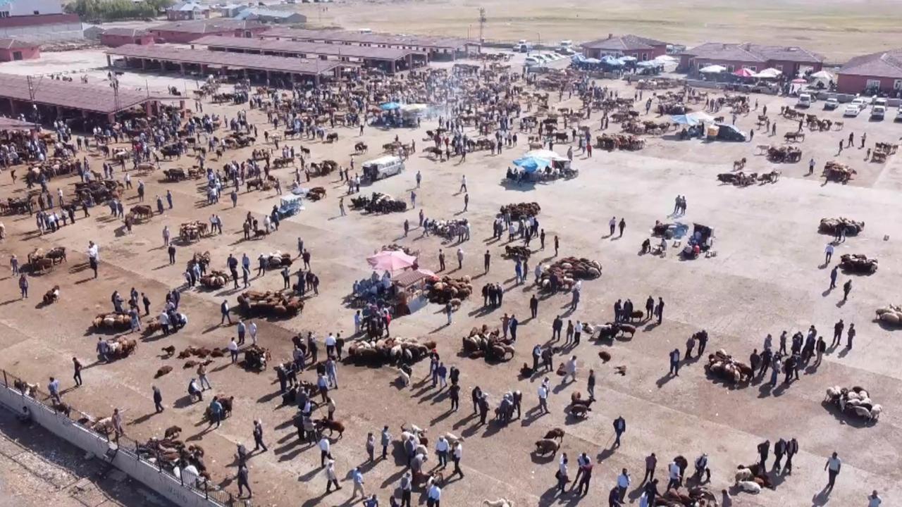 Şap alarmı! Ağrı Hayvan Borsası 30 gün süreyle kapatıldı – Haber 7