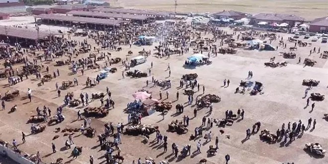 Ağrı’da şap hastalığı tedbirleri: Hayvan borsası 30 gün kapatıldı – Memurlar.Net