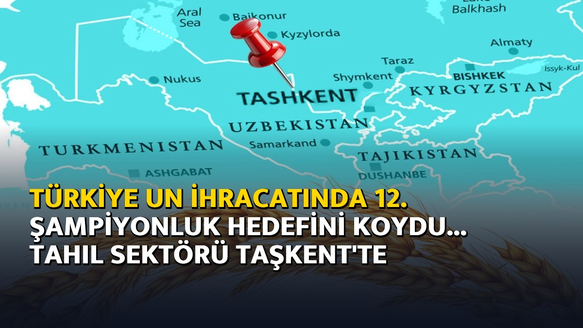 Türkiye un ihracatında 12. şampiyonluk hedefini koydu… Tahıl sektörü Taşkent’te buluşuyor – Ajans04