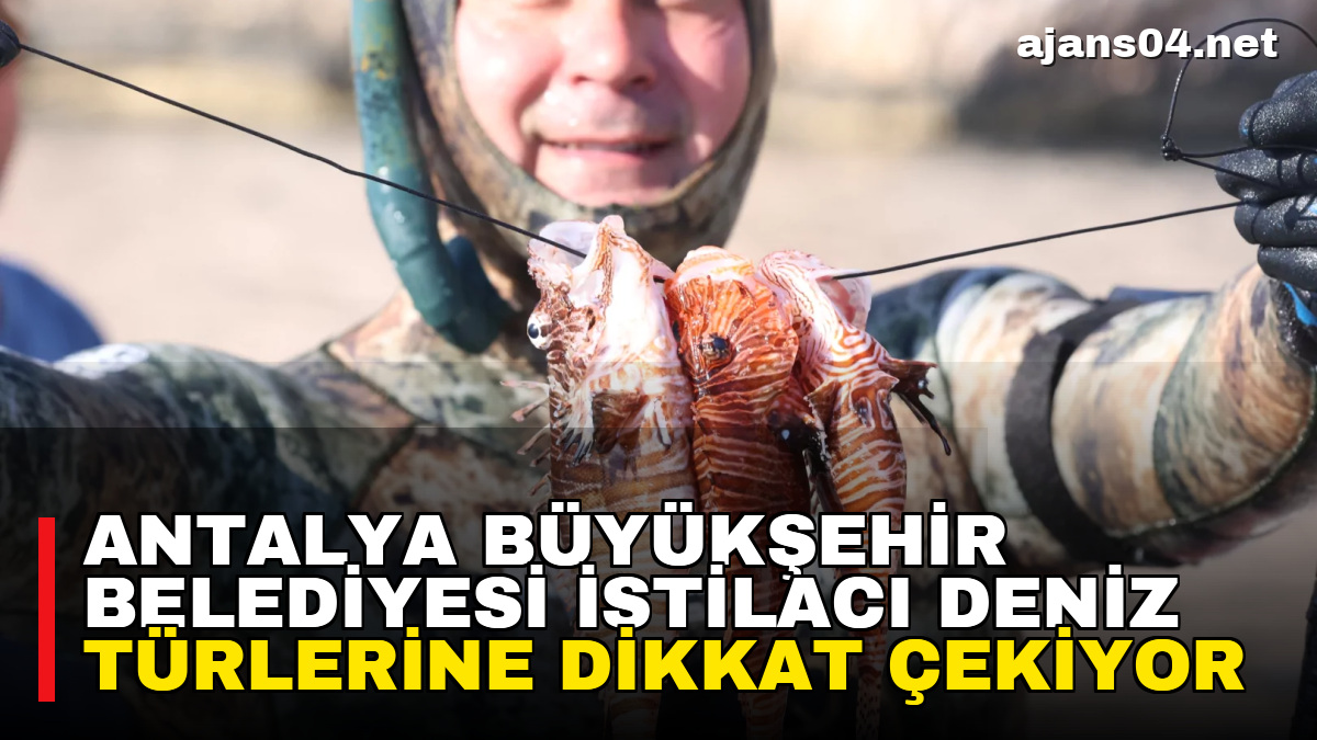 Antalya Büyükşehir Belediyesi istilacı deniz türlerine dikkat çekiyor – Ajans04 Haber