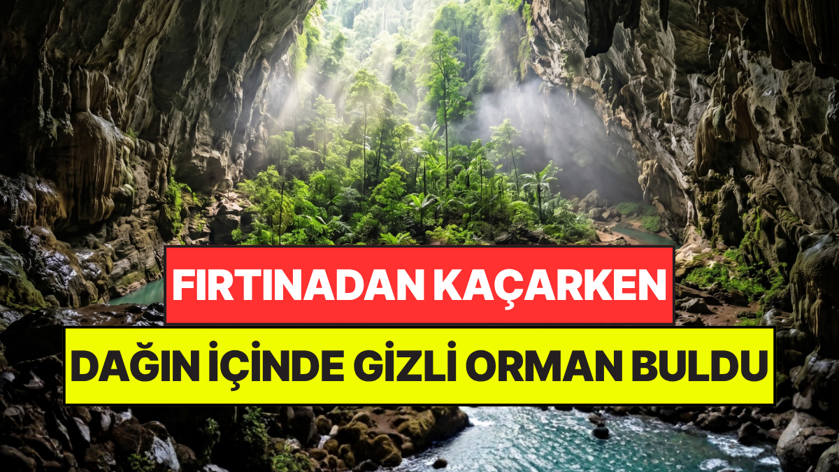 Fırtınadan Kaçarken Dağın İçinde Başka Bir Dünya Buldu: Kendi Bulutu ve Ormanı Var – Onedio
